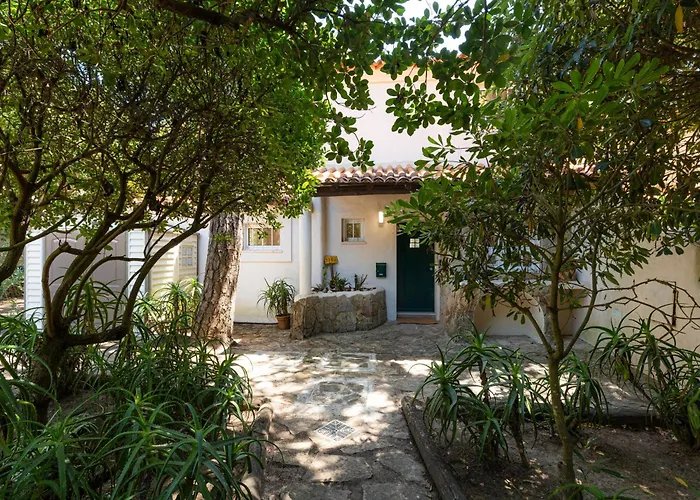 Sea'ya Thoughtful - Marinha Cascais