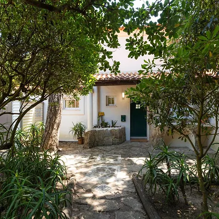 Sea'ya Thoughtful - Marinha קסקאיס